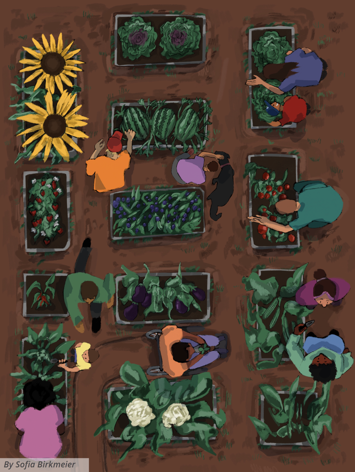 An illustration of an aerial view of people of different races, ages, and physical abilities tending to garden beds containing flowers, fruits, and vegetables.