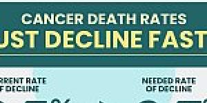 Graphic showing cancer death rates must decline faster