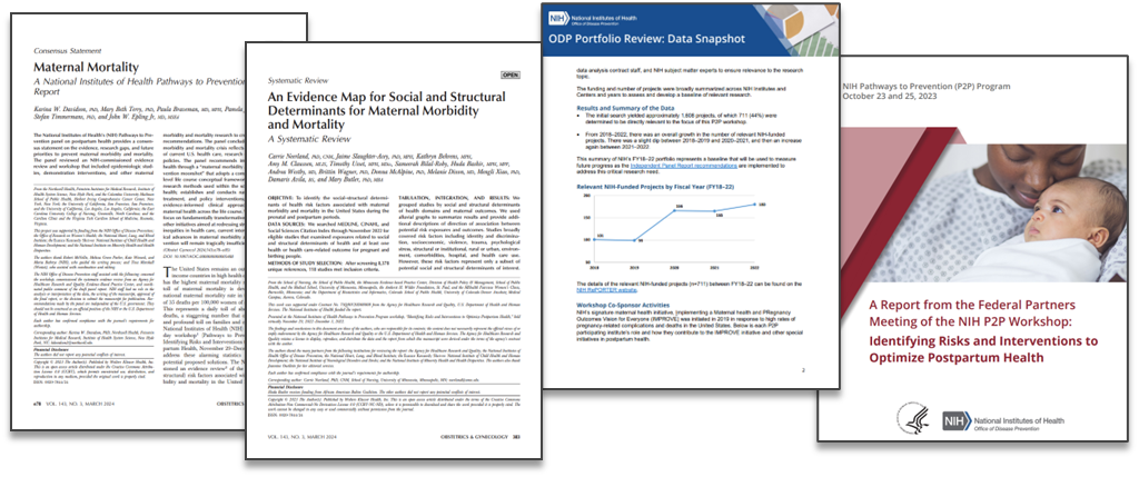 Screenshots of the covers of the final reports for the P2P workshop on postpartum health. These include the independent panel report, systematic evidence review, data snapshot, and federal partners meeting report. 